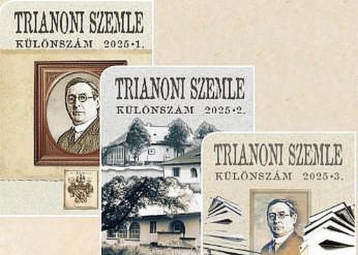 „Amikor a nemzet keresi önmagát” Amikor a nemzet keresi önmagát bemutató borítóképe